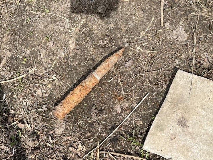 Житель пригорода Хабаровска нашел артиллерийский снаряд