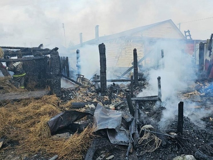 В Старочернееве Шацкого района сгорел гараж с легковушкой