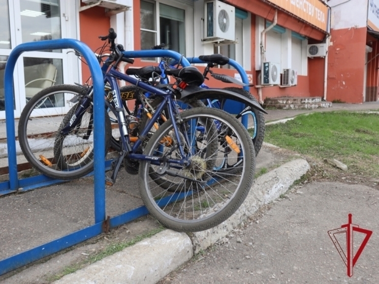 Украденные велосипеды нашлись на парковке ТРЦ в Биробиджане