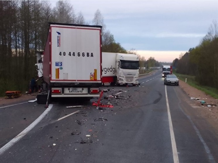 Двое мужчин погибли в дорожно-транспортном происшествии на трассе «Москва-Балтия» в Себежском районе