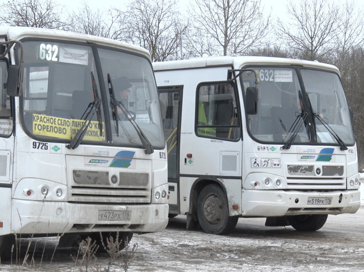 Жителям Ленобласти рассказали, где сидеть в переполненном автобусе