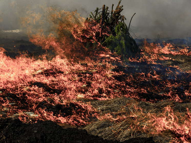 В Челябинской области ликвидировали 18 лесных и природных пожаров
