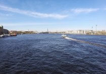 В каналах Петербурга скоро начнут работу три водных маршрута. В 2024 году пять перевозчиков подали 25 заявок на прогулки и экскурсии, узнал ДП у Комтранса Петербурга.