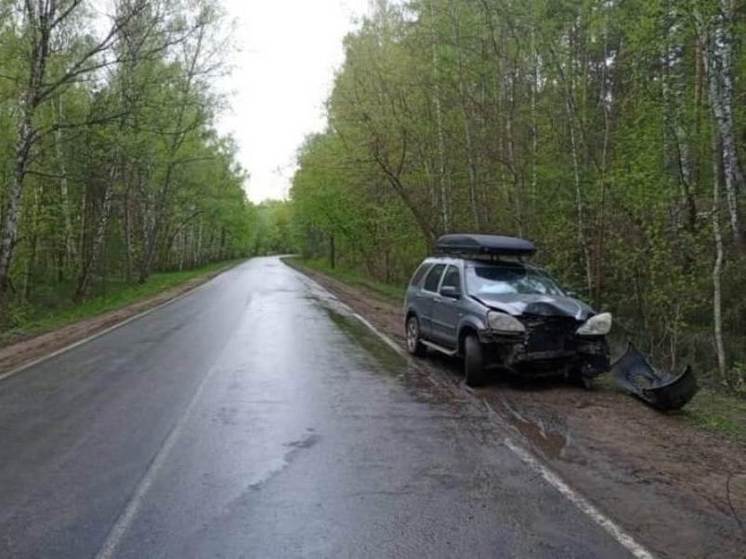 В Моршанском округе Тамбовской области накануне, 25 апреля, случилось серьезное ДТП