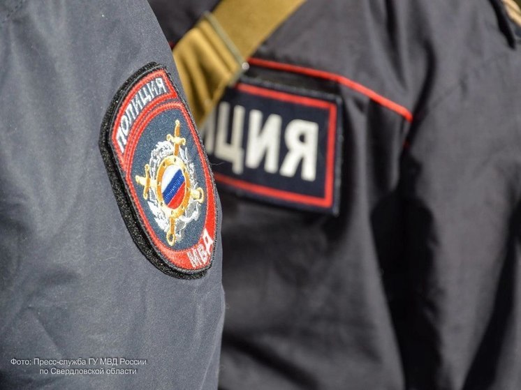 Житель Талицкого района получил приговор за насилие в отношении полицейского
