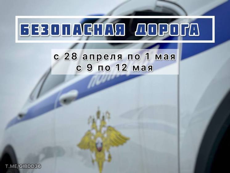 С начала 2024 года в Воронежской области в ДТП погибли 75 человек