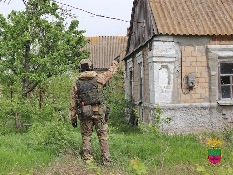 В Мелитопольском районе обнаружен схрон с оружием и боеприпасами