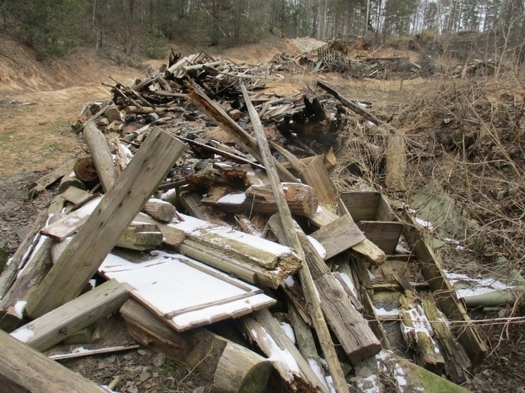 Четвёртую за год несанкционированную свалку нашли в Псковской области