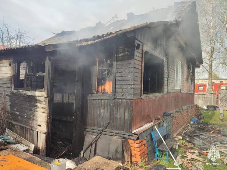 Многодетную семью из Тверской области спас пожарный извещатель