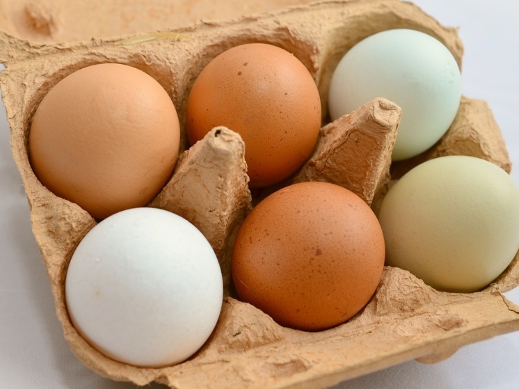 Некачественные яйца, муку и творог выявили в Нижегородской области
