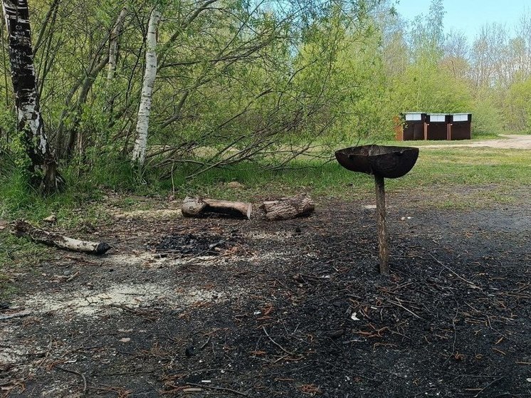 Власти Калининграда хотят обустроить на Голубых озерах зону для шашлыков