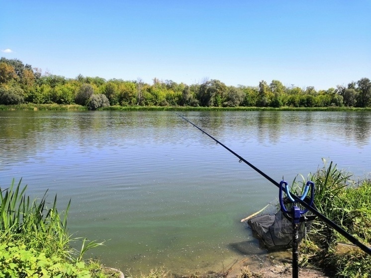 В Липецкой области ввели ограничения на рыбную ловлю на 40 суток