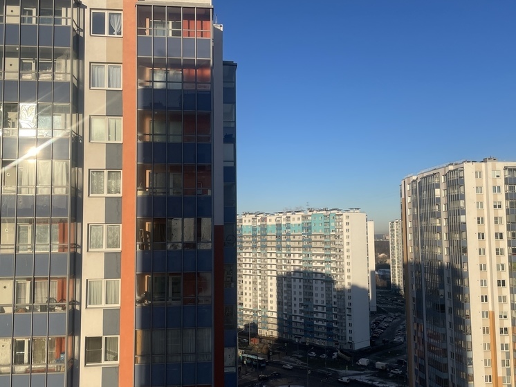Застройщики скупают землю в пригороде Петербурга под новостройки