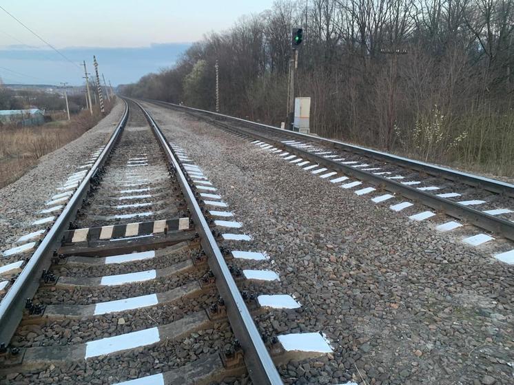 В Воронеже поезд насмерть сбил споткнувшуюся на рельсах женщину