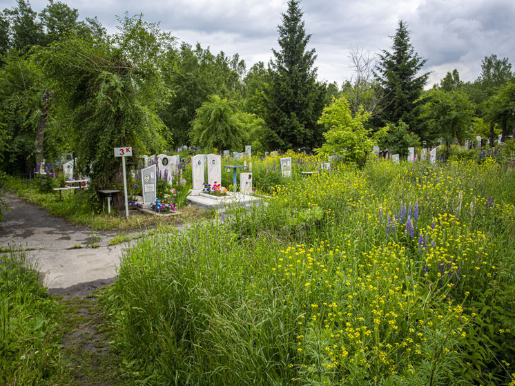 Власти Новосибирска решили ликвидировать «Похоронный дом»