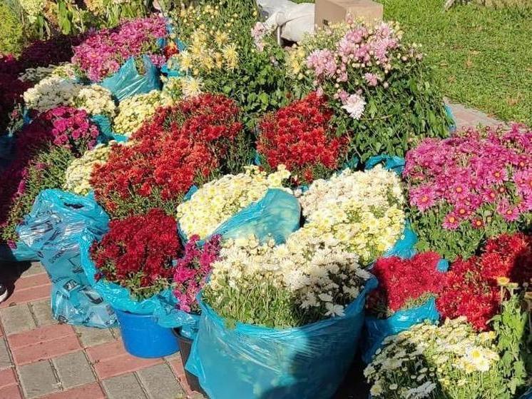 В Тамбове проведут XVI городской фестиваль цветов