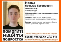 В Екатеринбурге начаты поиски 13-летнего Ярослава Нехца