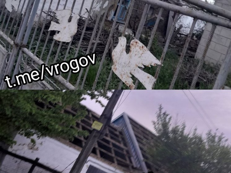 Рогов: Российское ПВО подавило дроны, атаковавшие детсады в Приазовском
