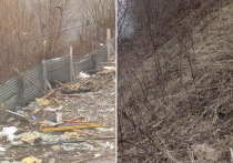 Берег реки Малой Кокшаги в Йошкар-Оле захламили строительным мусором.