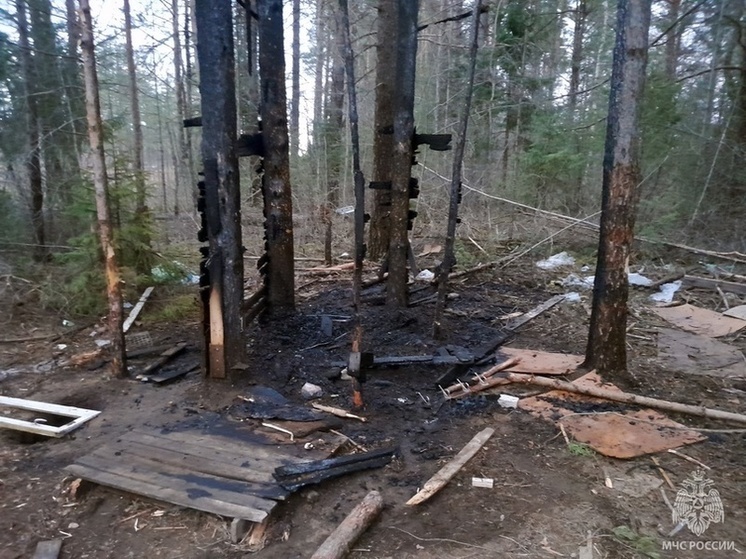 Детский шалаш сгорел в Чагодощенском округе