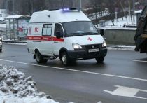 В Ленинградской области 13-летняя школьница упала с лощади