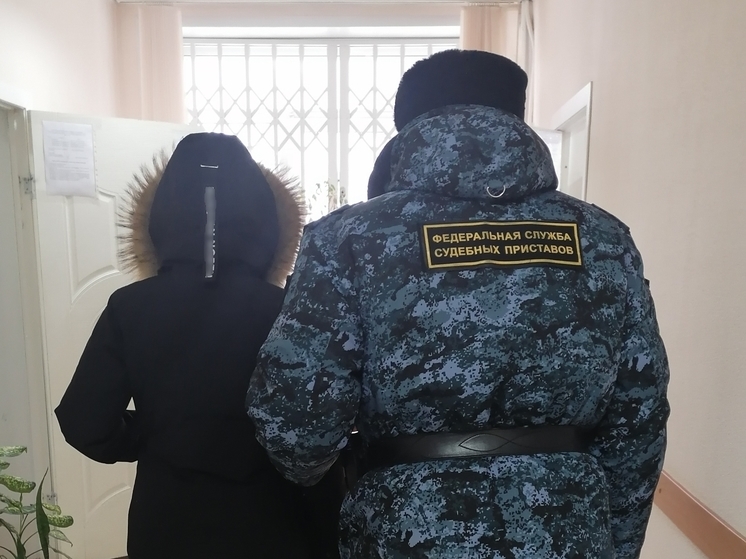 УФССП: задолжавшая ребенку россиянка попыталась сбежать от приставов через потайную дверь