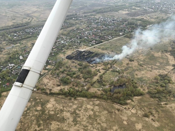 Пожар уничтожил около гектара леса в Химках