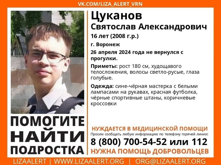 В Воронеже разыскивают не вернувшегося с прогулки голубоглазого парнишку