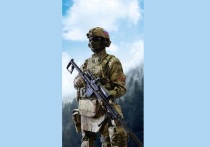 Министерство обороны досрочно получило партию самозарядных снайперских винтовок, созданных в Туле