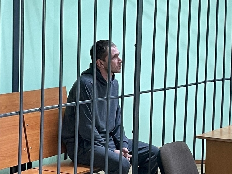 Напавшего на журналистов в Новосибирске мужчину отправили в изолятор