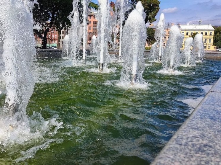 В Петербурге включили 79 фонтанов