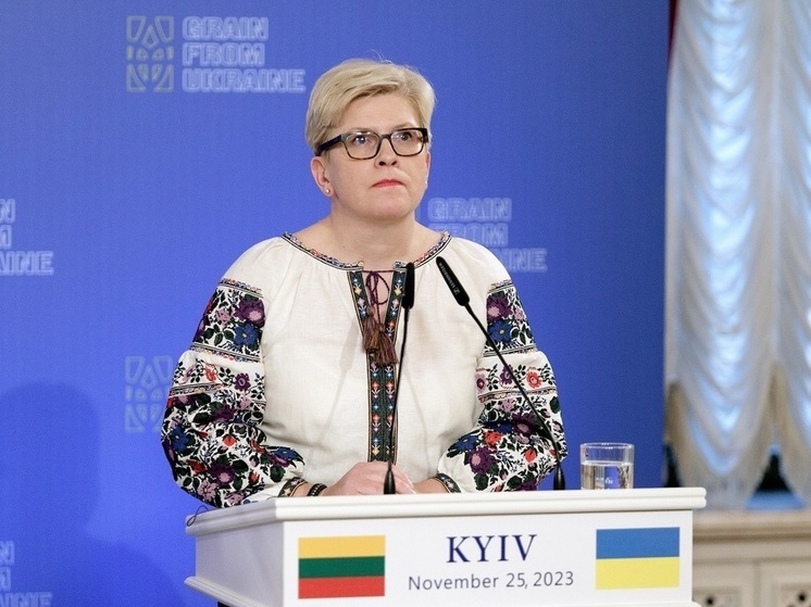 Премьер Литвы Шимоните призвала готовиться к тому, что пакет помощи США Украине станет последним