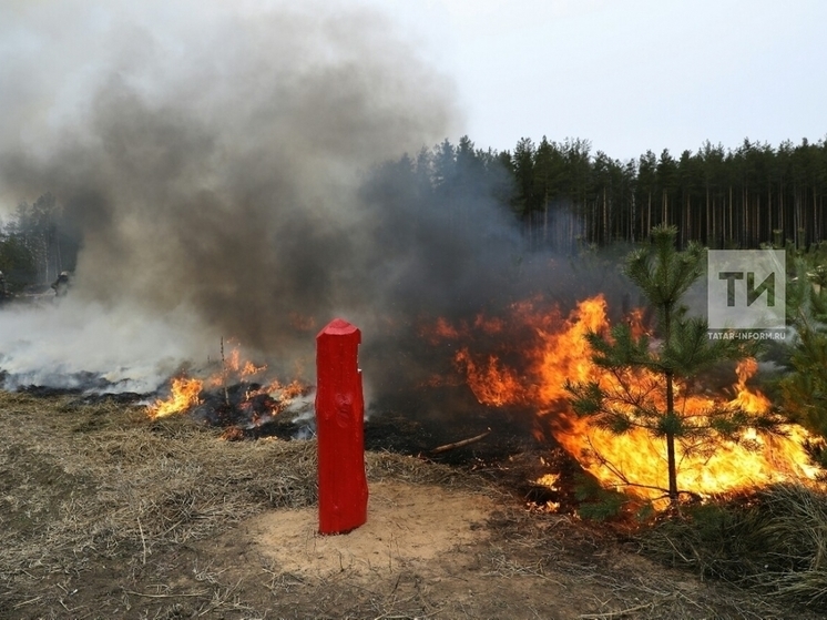 Штормовое предупреждение из-за высокой пожароопасности лесов объявили в Татарстане