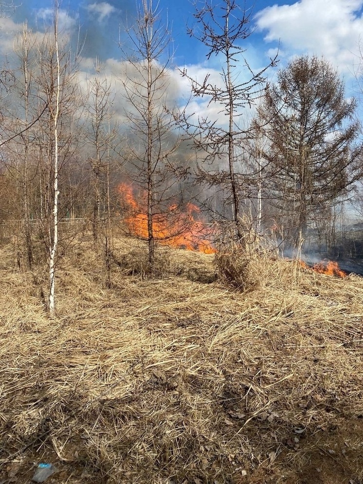 Пожар угрожает безопасности посетителей острова Татышев в Красноярске