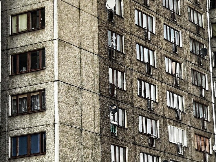В Барнауле жилец дома наложил кучу под дверью председателя из-за недовольства благоустройством