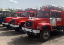 По нацпроекту «Экология» Республика Марий Эл получила новые пожарные машины и оборудование.