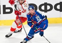 Петербургский хоккейный клуб СКА в межсезонье может покинуть нападающий Алекс Гальченюк. По данным «Спорт-Экспресс», 30-летним американцем заинтересовался казанский «Ак Барс».