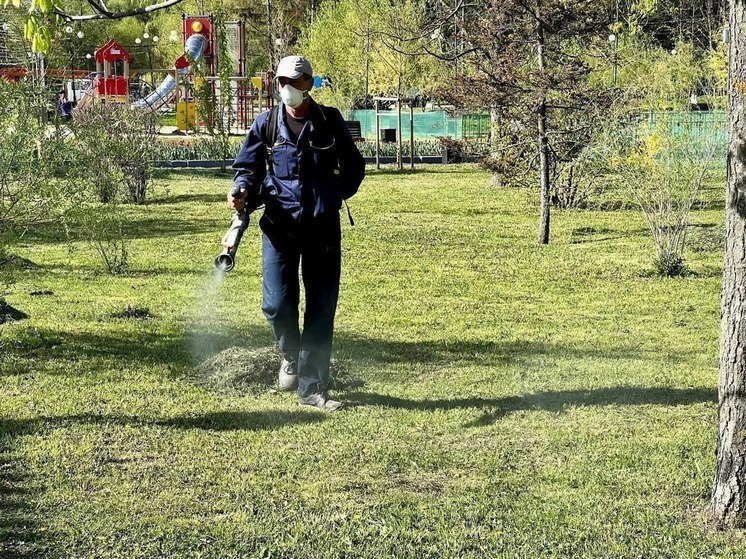 Жителям Белгорода сообщили график обработки парков от клещей 30 апреля