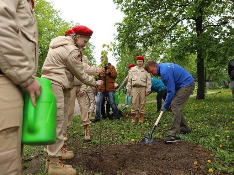 Старовойт поучаствовал в высадке 200 молодых деревьев в парке Дзержинского в Курске