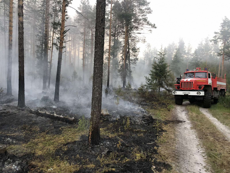 Власти Прикамья призывают жителей соблюдать в лесах и на природе правила пожарной безопасности