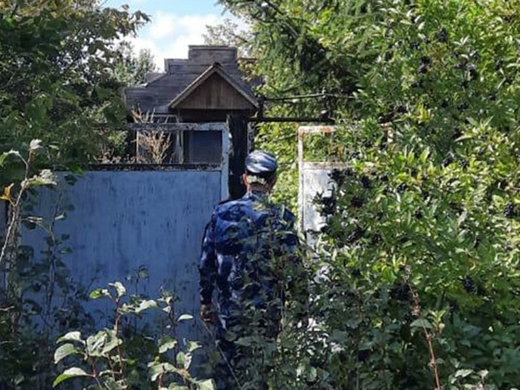 В Воронежской области задержали 28 человек, объявленных в розыск