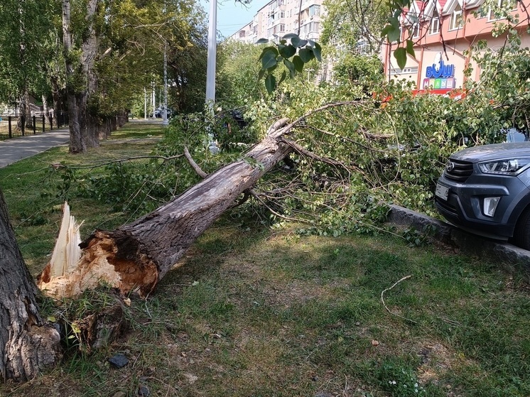 МЧС предупреждает о сильном ветре и дождях в Свердловской области