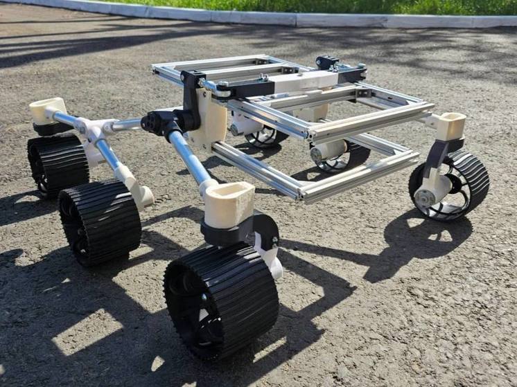 На Ставрополье создадут робота-поводыря на основе искусственного интеллекта