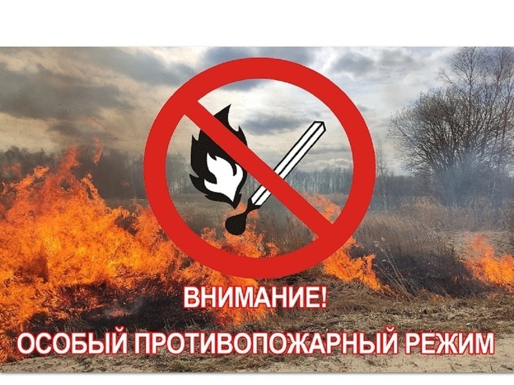 В Ярославской области на 21 день введен особый противопожарный режим