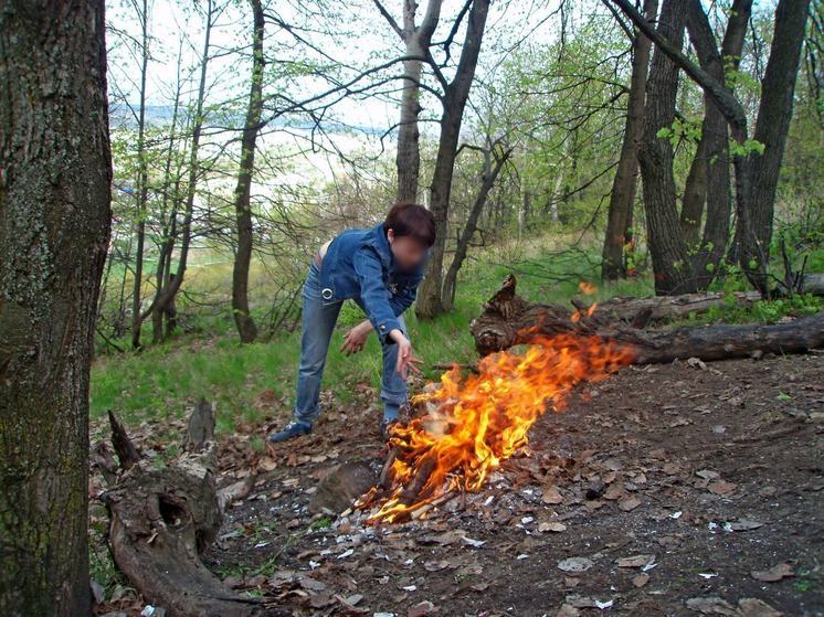 В Саратовской области объявлен особый противопожарный режим