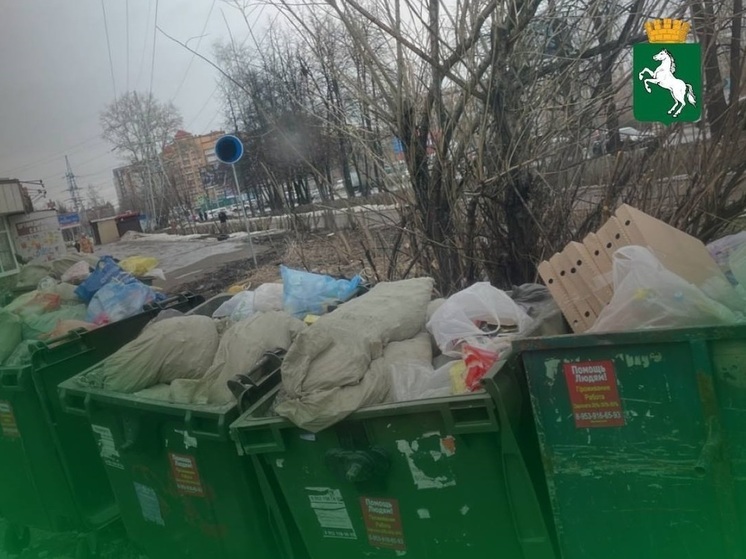 Депутат гордумы Томска добился чистоты около мусорных контейнеров
