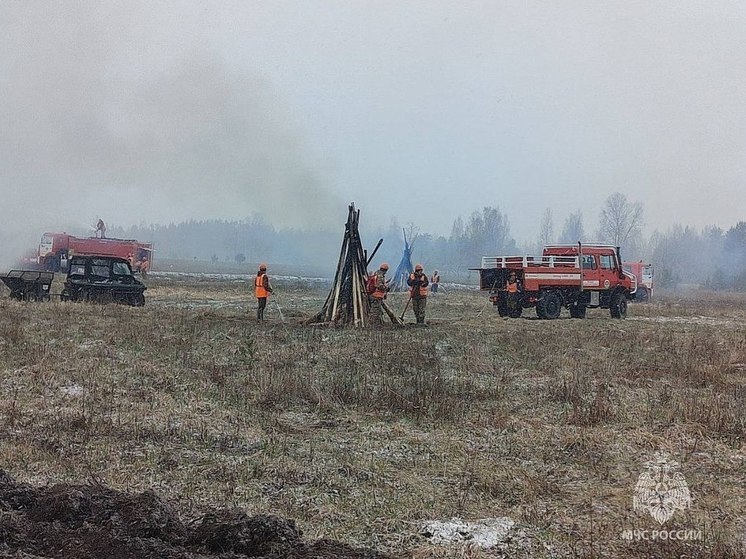 В Кингисеппском районе прошли учения по тушению крупных лесных пожаров