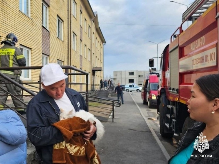 В Кызыле пожарные спасли кошку из горящей квартиры