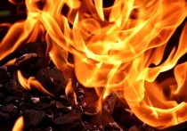 Пожар на мусорном полигоне между городом Темрюк и станицей Голубицкой в Темрюкском районе Краснодарского края был потушен