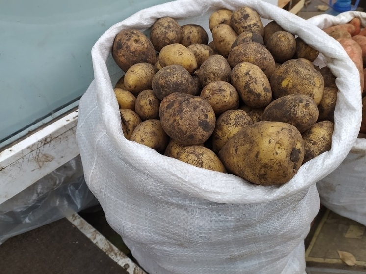 Как получить хороший урожай картофеля жителям Томской области